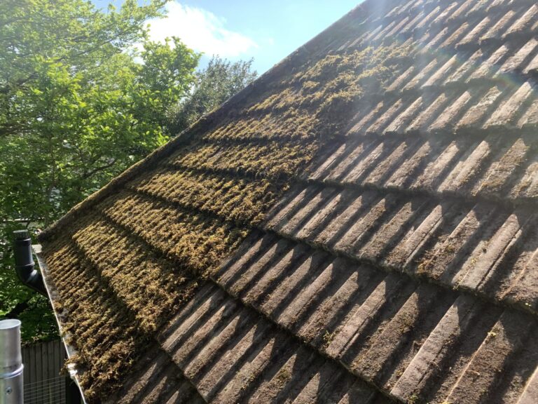 Moss Removal