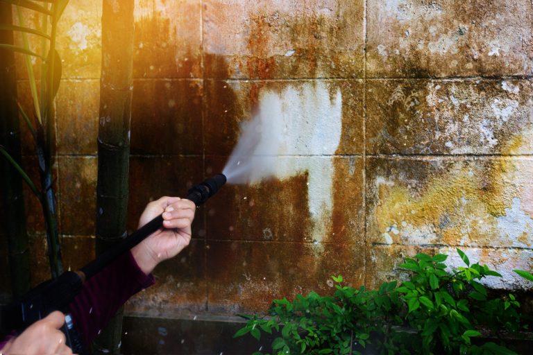 Render Cleaning Company